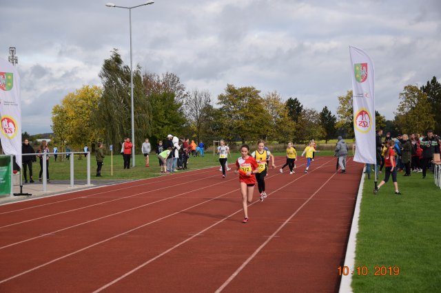 biegwoj 14